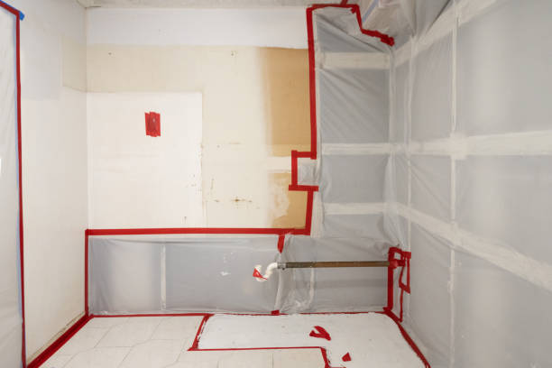 Best Real Estate Mold Inspection  in West Point, KY
