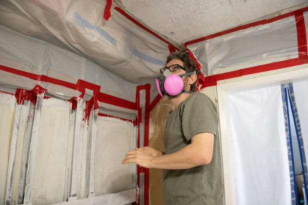 Best Mold-Related Health Consultation  in West Point, KY