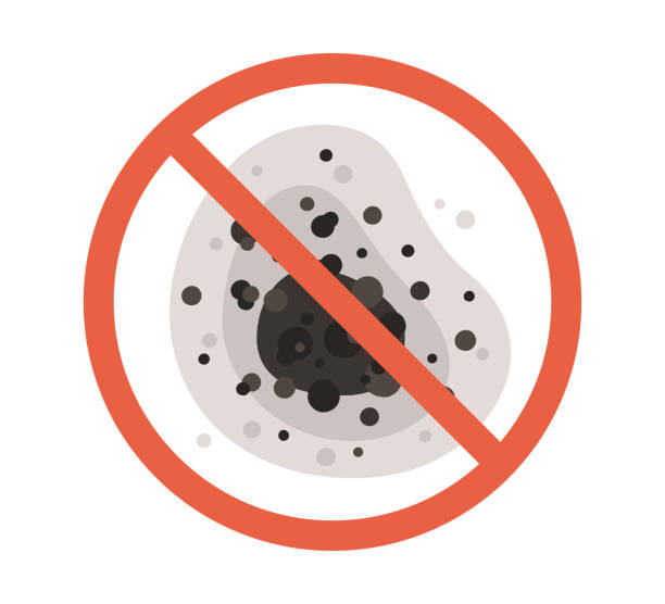 Best Mold Remediation for Healthcare Facilities  in West Point, KY