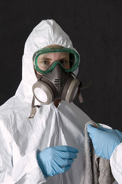 Best Black Mold Removal  in West Point, KY